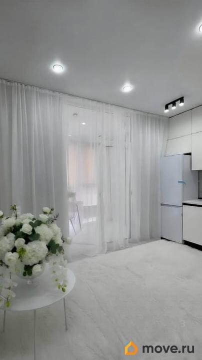студия, 23 м&sup2;