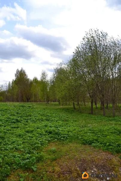 коммерческий участок, 49 соток