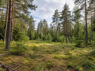 земельный участок, 10 соток