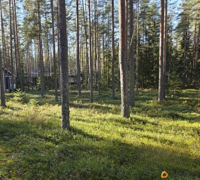 земельный участок, 15 соток