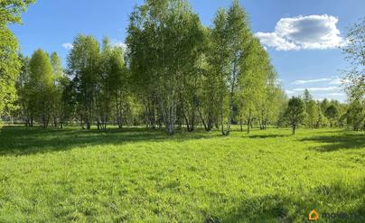 земельный участок, 50 соток