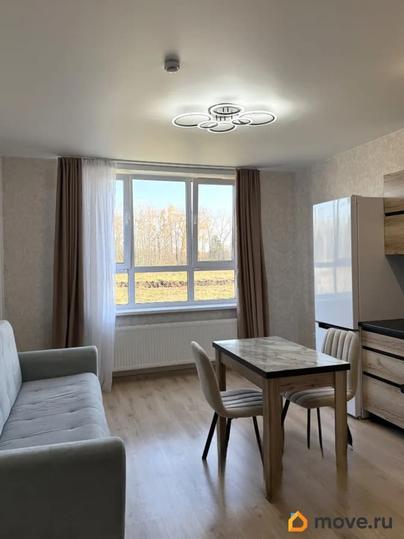 студия, 24.1 м&sup2;