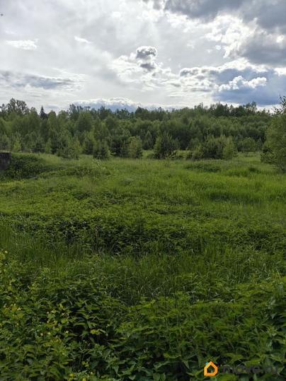 коммерческий участок, 5.2 га