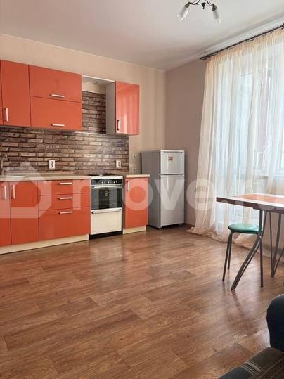 студия, 25 м&sup2;
